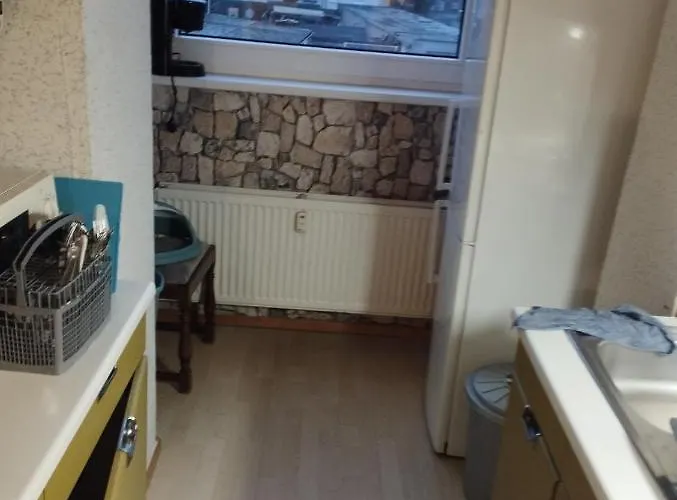 Worker-flat * 盖尔森基兴